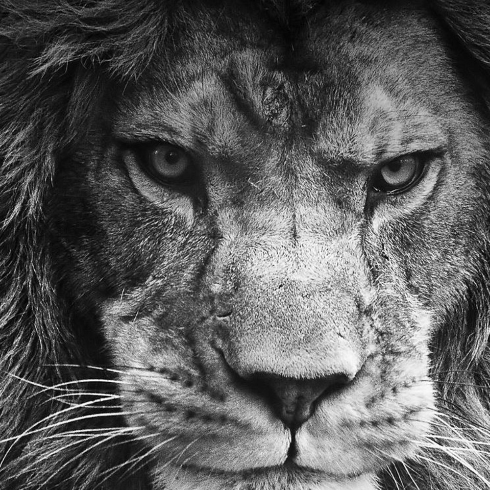 Meet your Posher, Smythe